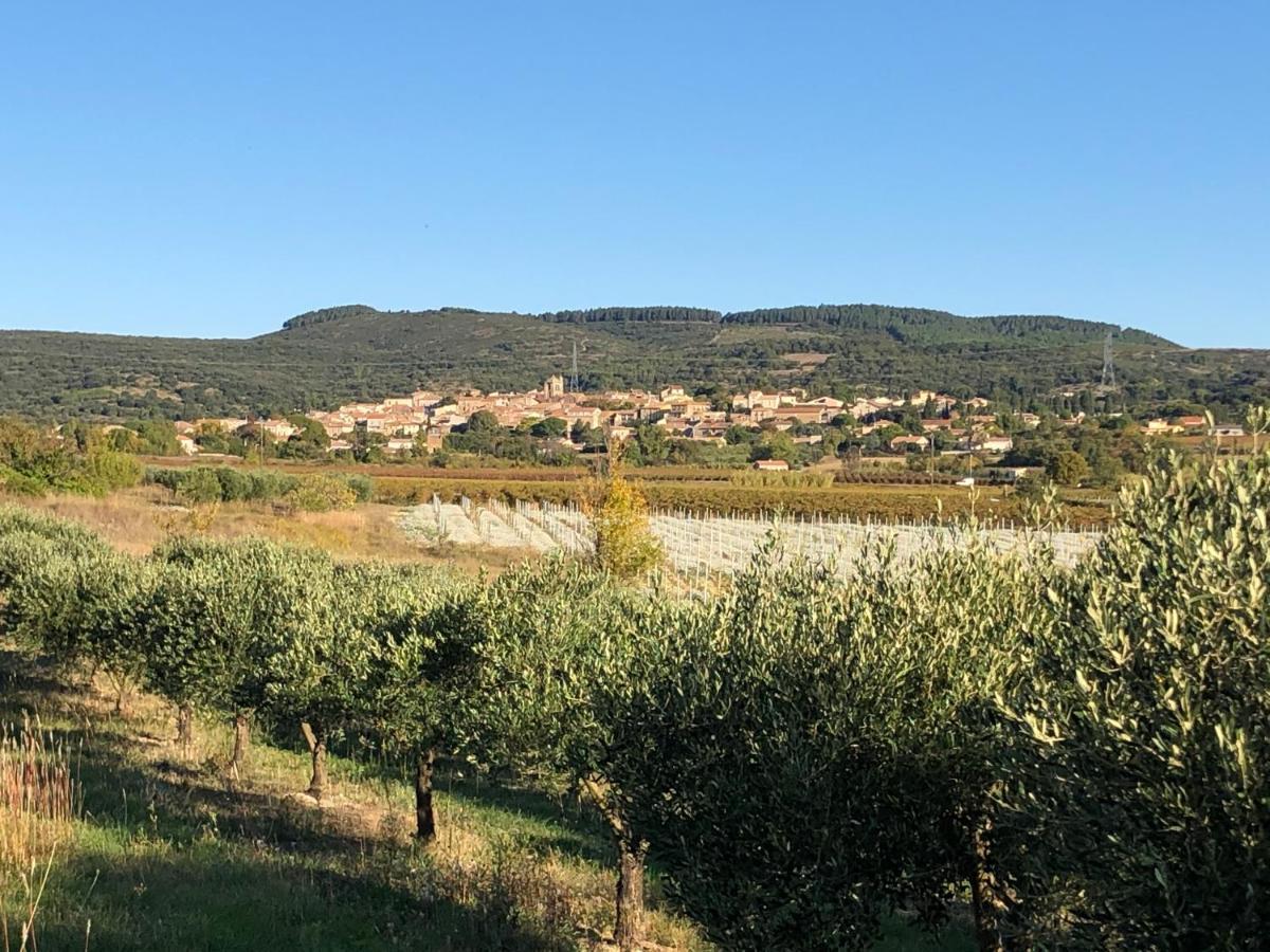 Val Des Bruyeres - Gite 15Mn Pezenas Avec Terrasse Et Cour Close - Parking Privatif Securise - Wifi Ftth Gratuit Neffies Buitenkant foto