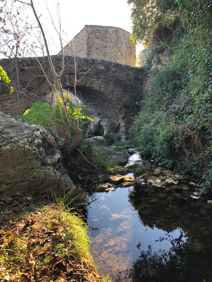 Val Des Bruyeres - Gite 15Mn Pezenas Avec Terrasse Et Cour Close - Parking Privatif Securise - Wifi Ftth Gratuit Neffies Buitenkant foto