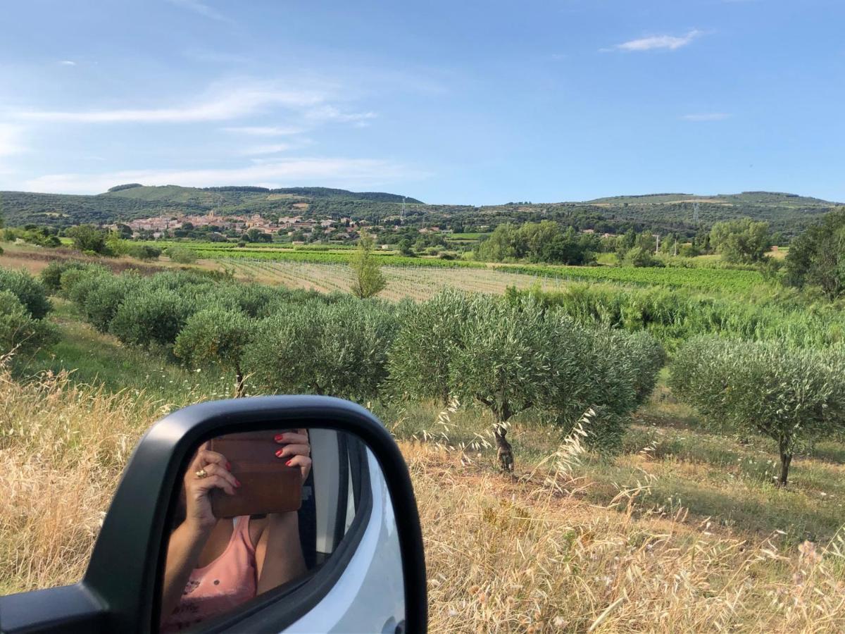 Val Des Bruyeres - Gite 15Mn Pezenas Avec Terrasse Et Cour Close - Parking Privatif Securise - Wifi Ftth Gratuit Neffies Buitenkant foto