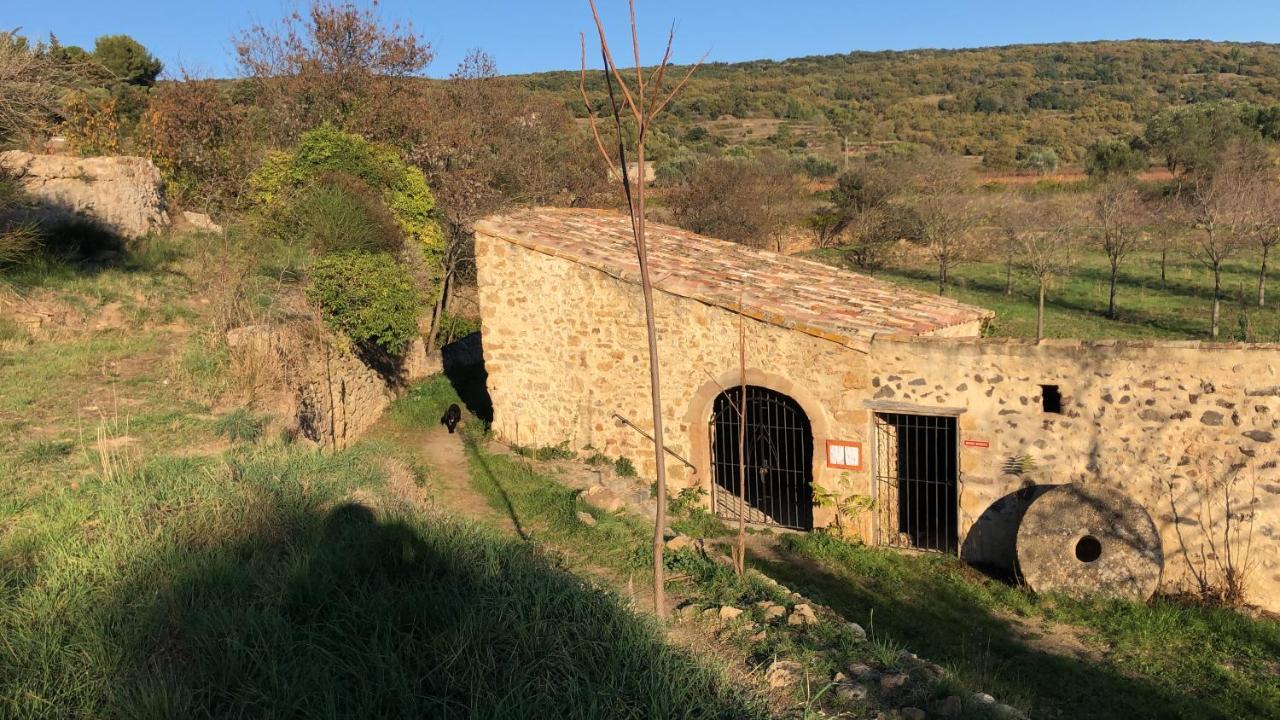 Val Des Bruyeres - Gite 15Mn Pezenas Avec Terrasse Et Cour Close - Parking Privatif Securise - Wifi Ftth Gratuit Neffies Buitenkant foto